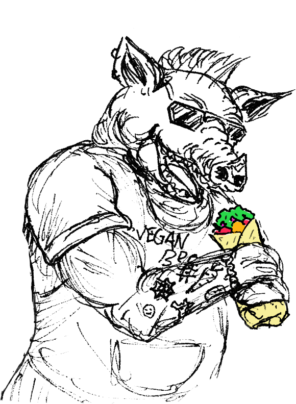 Gris som spiser shawarma